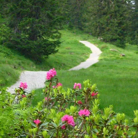 شقة فندقية Baeren